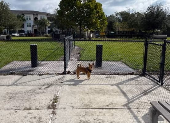 Dog Park at Lake Front Park photo 1